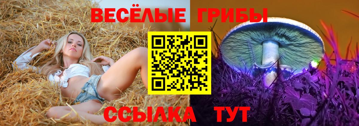 Галлюциногенные грибы мухоморы  Псилоцибиновые грибы Magic Shrooms  Улан-Удэ  Вход с VPN 